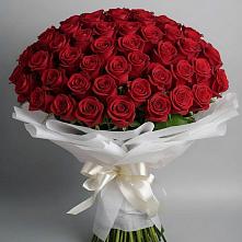 Букет 101 Красная роза Блэк Мэджик в Гольёво