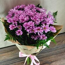 Букет цветов из:  Хризантемы #REPLACE_PRED# Гольёво