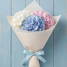 Букет цветов из:  Гортензия в Гольёво