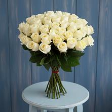 Букет 51 Белая роза Эдлесс Лав #REPLACE_PRED# Гольёво