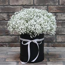 Цветочная композиция из Гипсофила в шляпной коробке в Гольёво