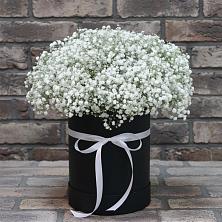 Цветочная композиция из Гипсофила в шляпной коробке в Гольёво