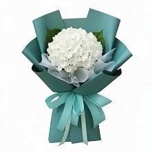 Букет цветов из:  Гортензия в Гольёво